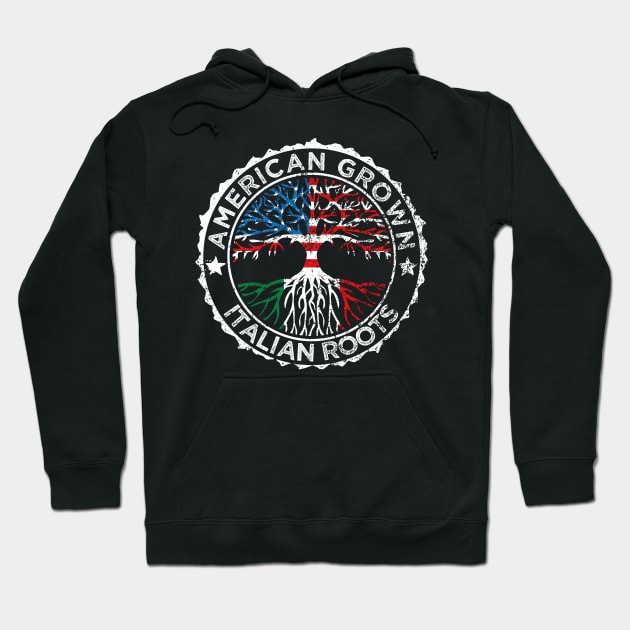 American grown italian roots Hoodie by zeno27